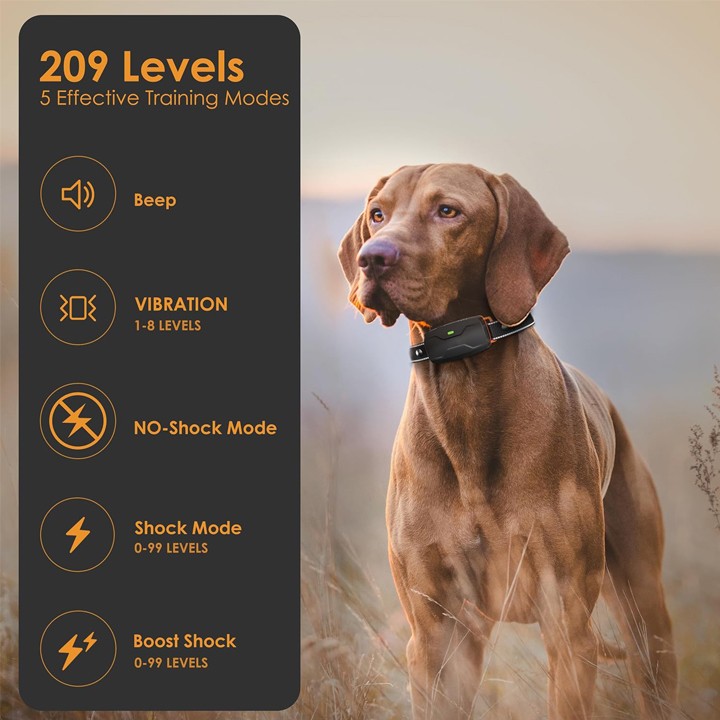 Training Collar for Dogs