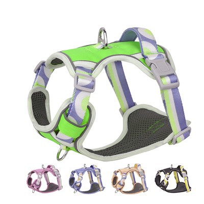 Custom Color No Pull Justerbar Hundesele