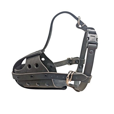 Hundemunninger for bulldoger