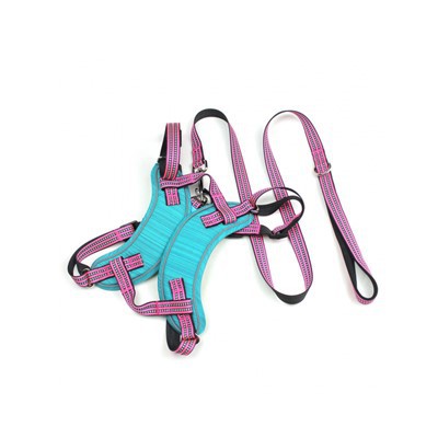 Ingen trekk hundesele og båndsett