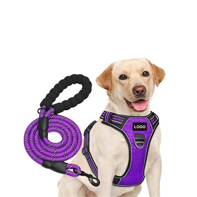 Personlig logo med hundesele og tau til hundebånd